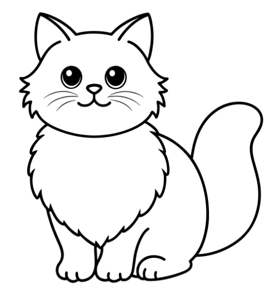 قطة