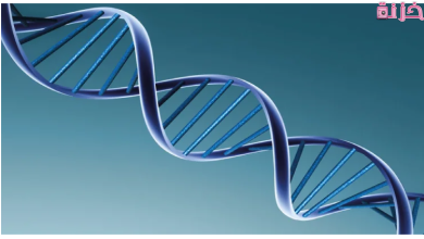تحليل DNA