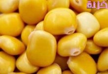 الترمس